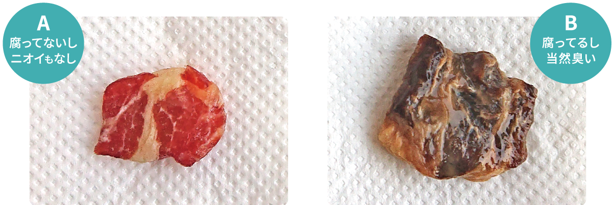 豚肉腐敗臭試験:豚肉比較写真